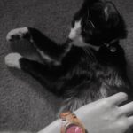 Archivo_4-5-17_16_33_28_50 Resize